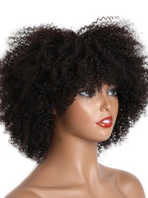 African Kinky Curly Human Hair Wig