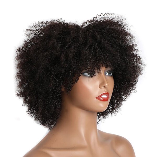 African Kinky Curly Human Hair Wig