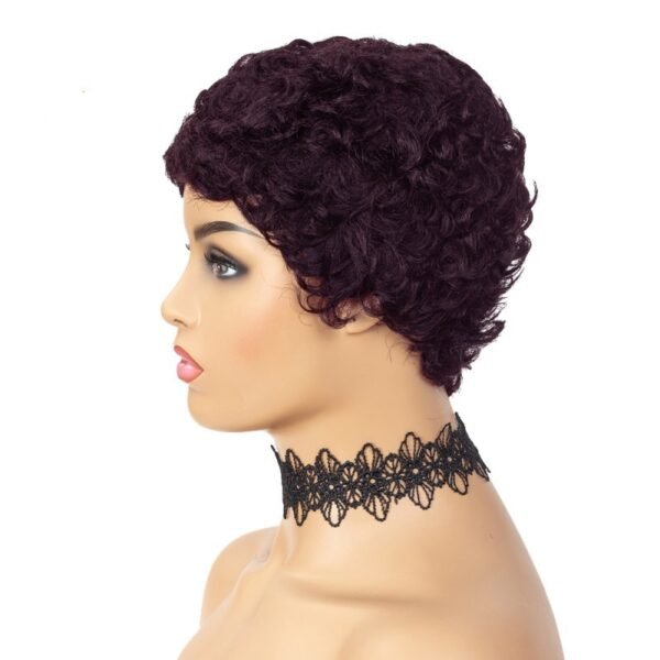 Short Curly Wig in Black and 99J - Versatile Brazilian Hair