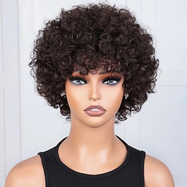 Afro Kinky Curly Bob Wig
