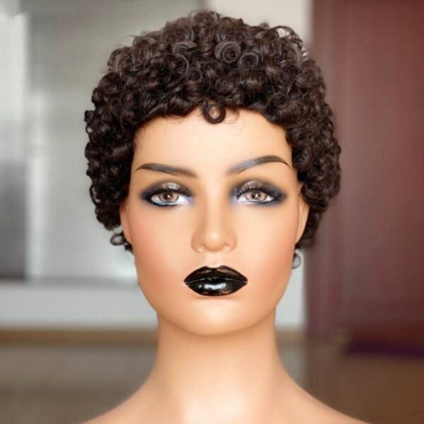 Brazilian Human Hair Wig