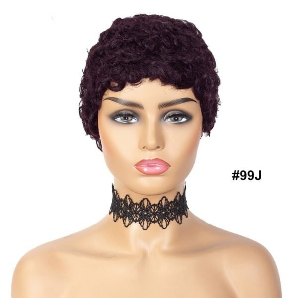 99J Honey Highlight Short Curly Brazilian Human Hair Wig