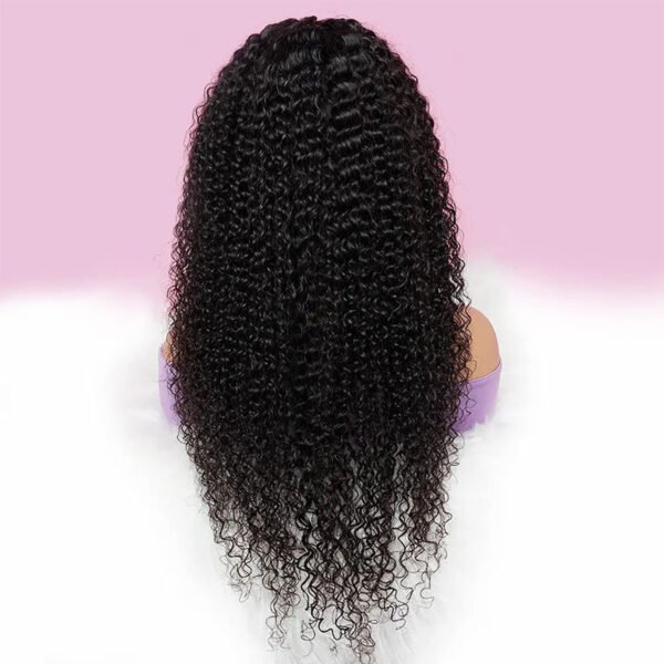 Heat-Stylable Body Wave Wig – Straight, Curly, or Braided Human Hair Transformation