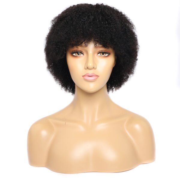 African Kinky Curly Human Hair Wig - Front View Showing Natural 10-Inch Afro Curls and Realistic Hairline