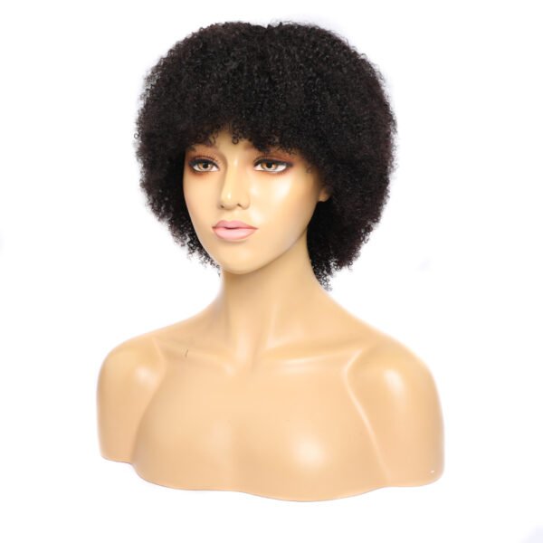 Side Profile of 10-Inch African Kinky Curly Wig – Defined Curls and Flawless Blend with Natural Hair